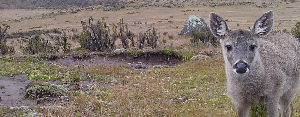 Copy-of-06290057-scaled-e1742339541715