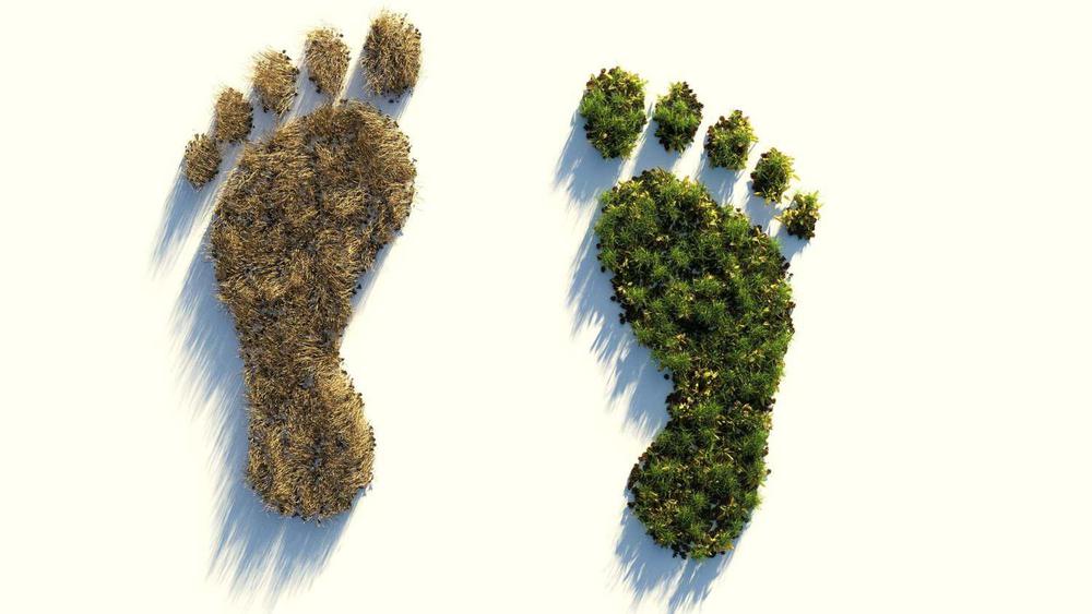 Consejos-para-reducir-la-huella-ecológica