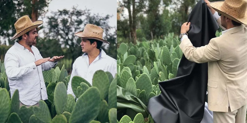cuero-vegano-con-cactus-scaled.jpg