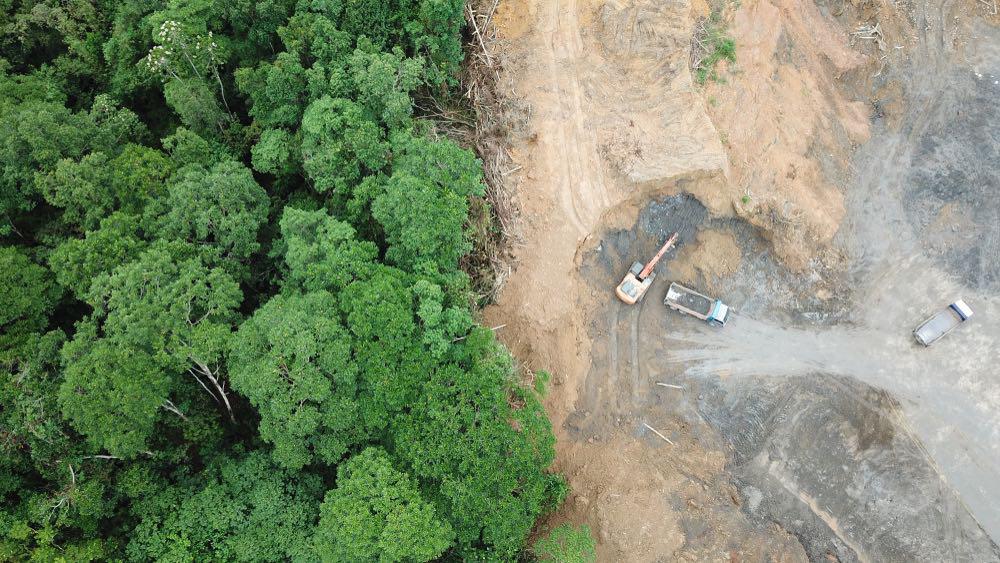 Deforestacion-Amazonia