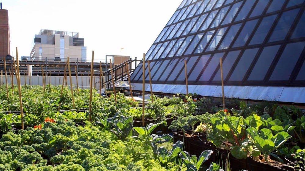 Boston-Medical-Center