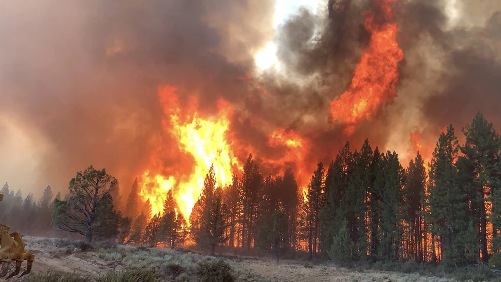Incendio/Arboles/Humos