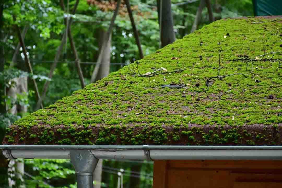 roof-2490864_960_720