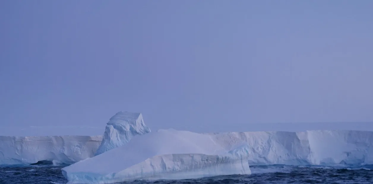 NFNwsB1K__1256x620__1