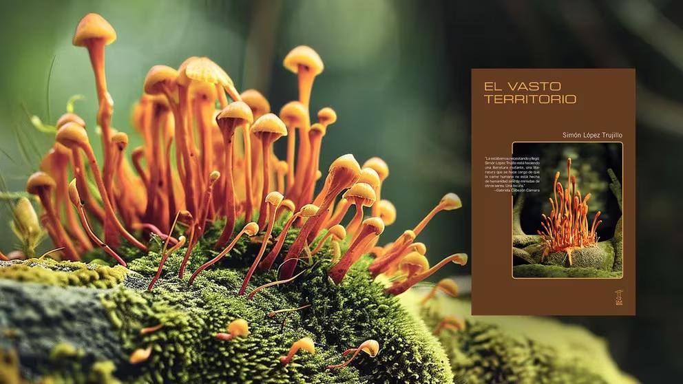 5SMTUK6TZFFGZCM42FGNZFJWYI