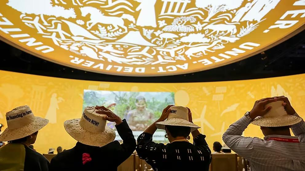 WX4HD6O5RRD3DCJ5YYOEGVTIQI