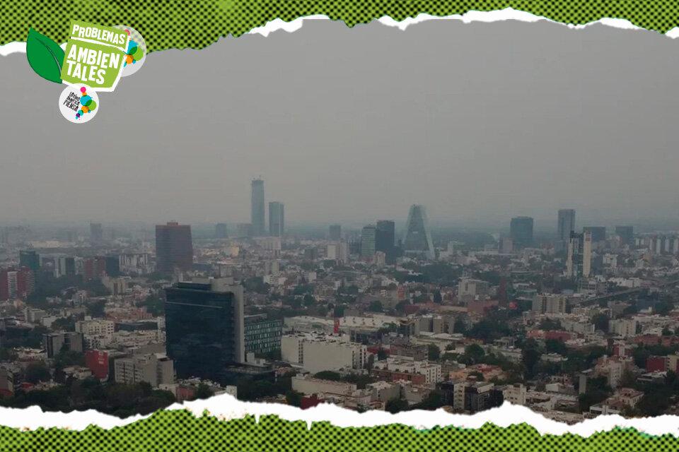 688234-portada-20ambientales