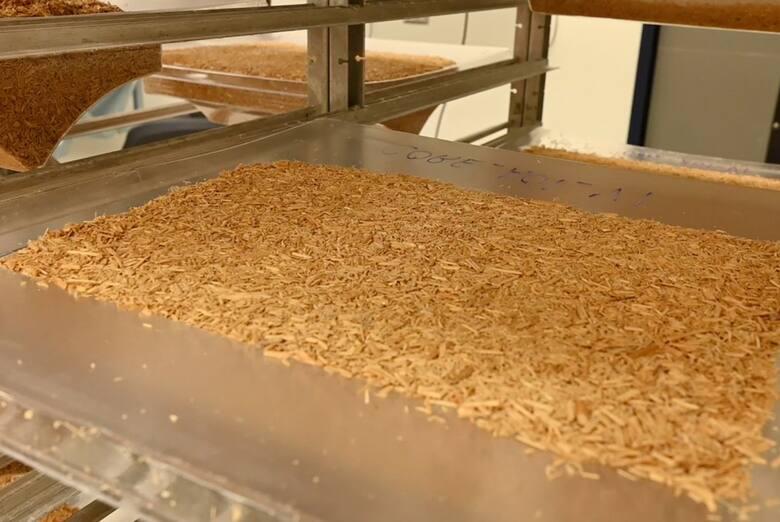 el-micelio-se-obtiene-de-forma-sostenible-y-es-un-YG2INWTR3JCJTLKO4TAVVCYT3A