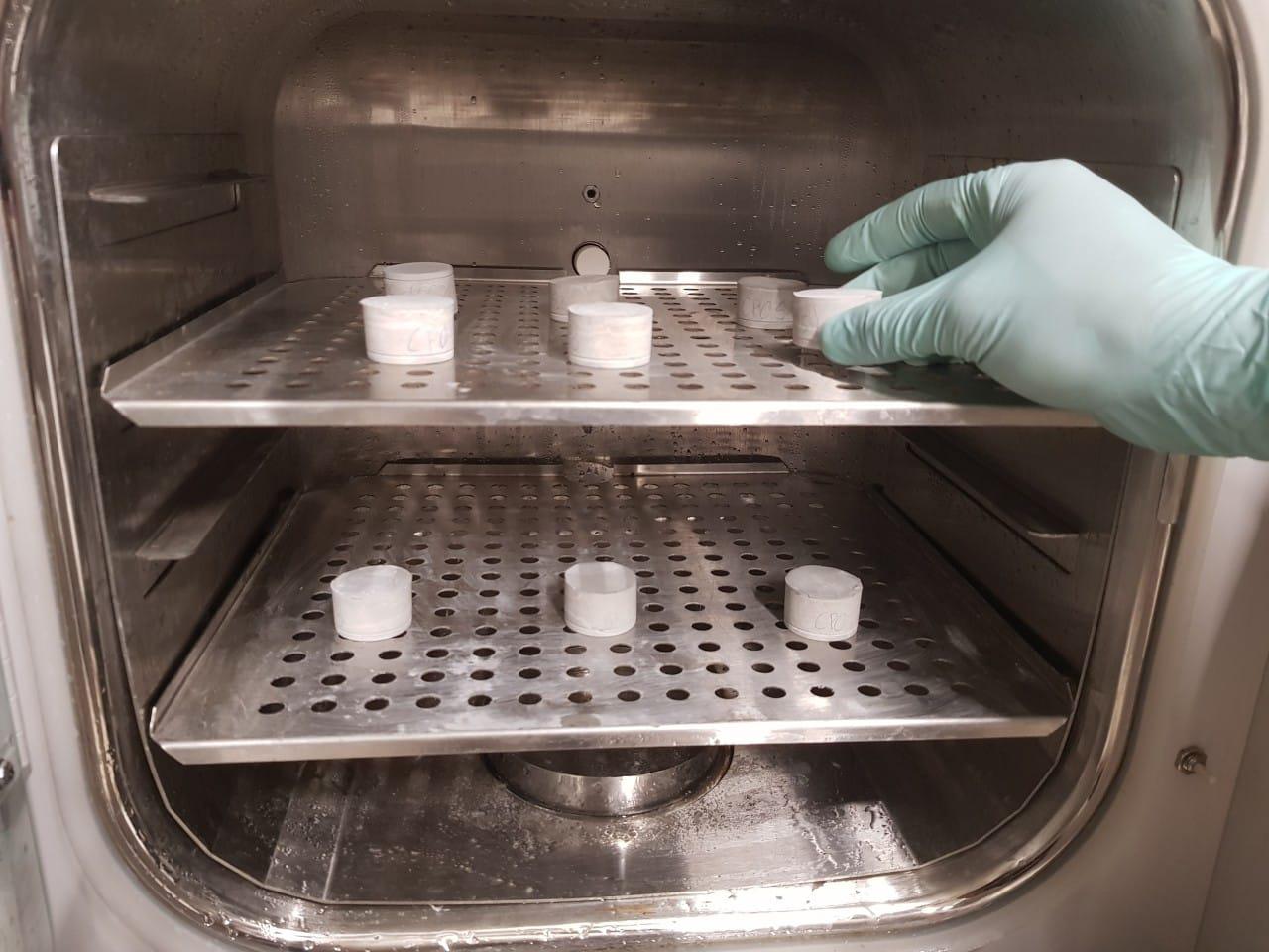 Purdue-University-hormigon-1