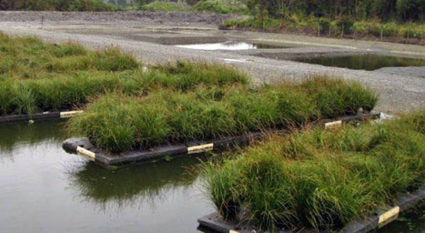Humedales artificiales/depurar agua