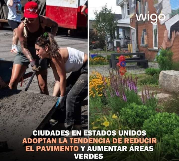 436347258_994039905623470_3579967746011373821_n