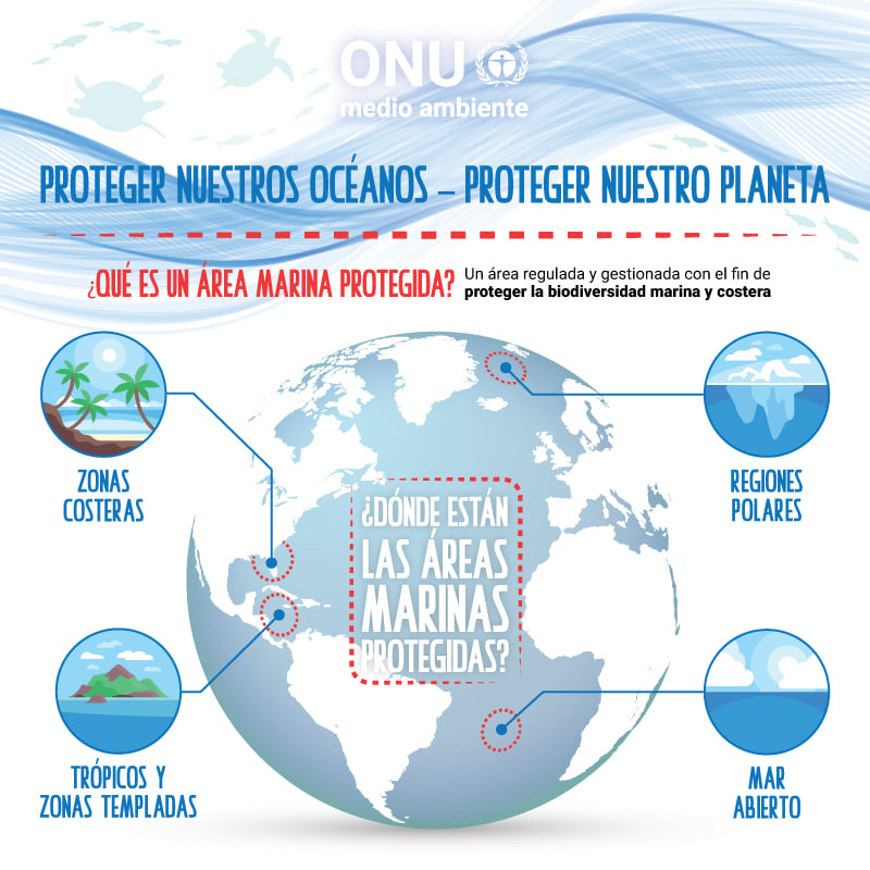 74234752_1374073756050108_3055099667453837312_n