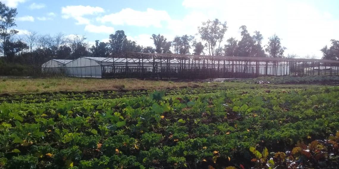 agroeoclogico-jauregui-1140x570