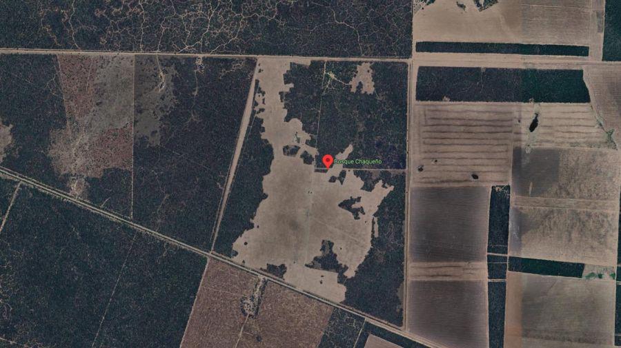 bosque-del-gran-chaco-1844157