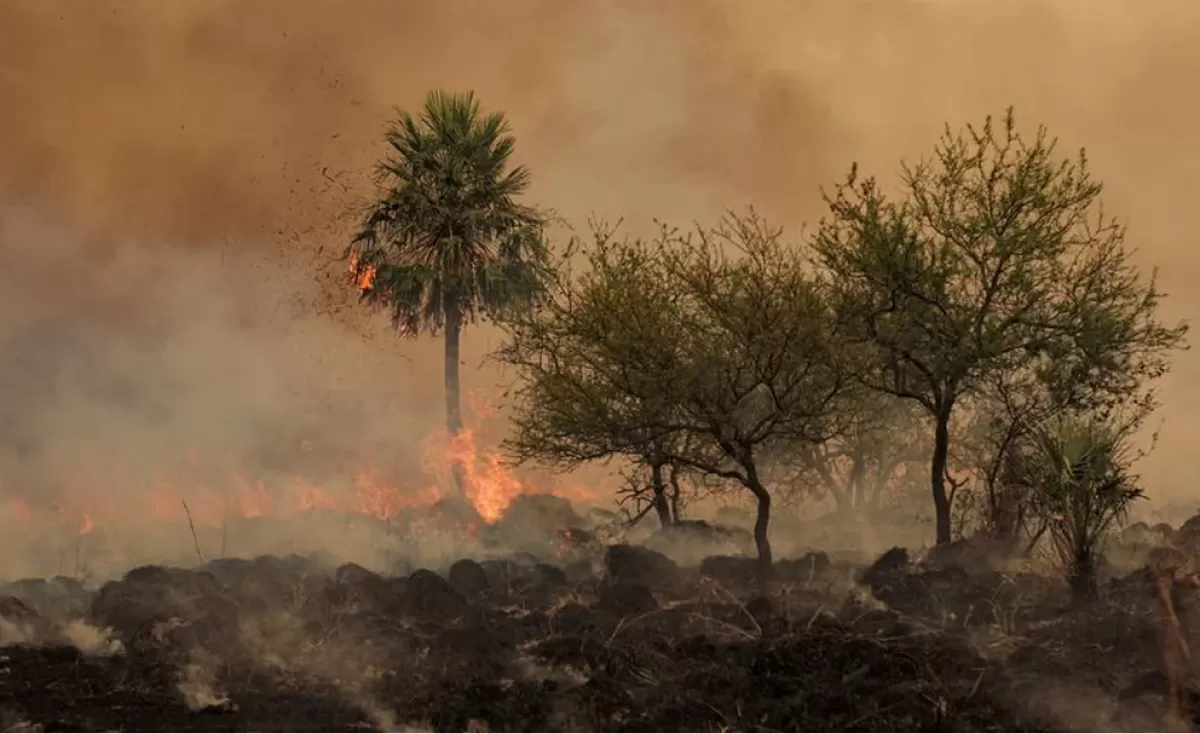 1200x734_detectaron-condiciones-peligro-incendios-forestales-norte-argentino-951733-100122