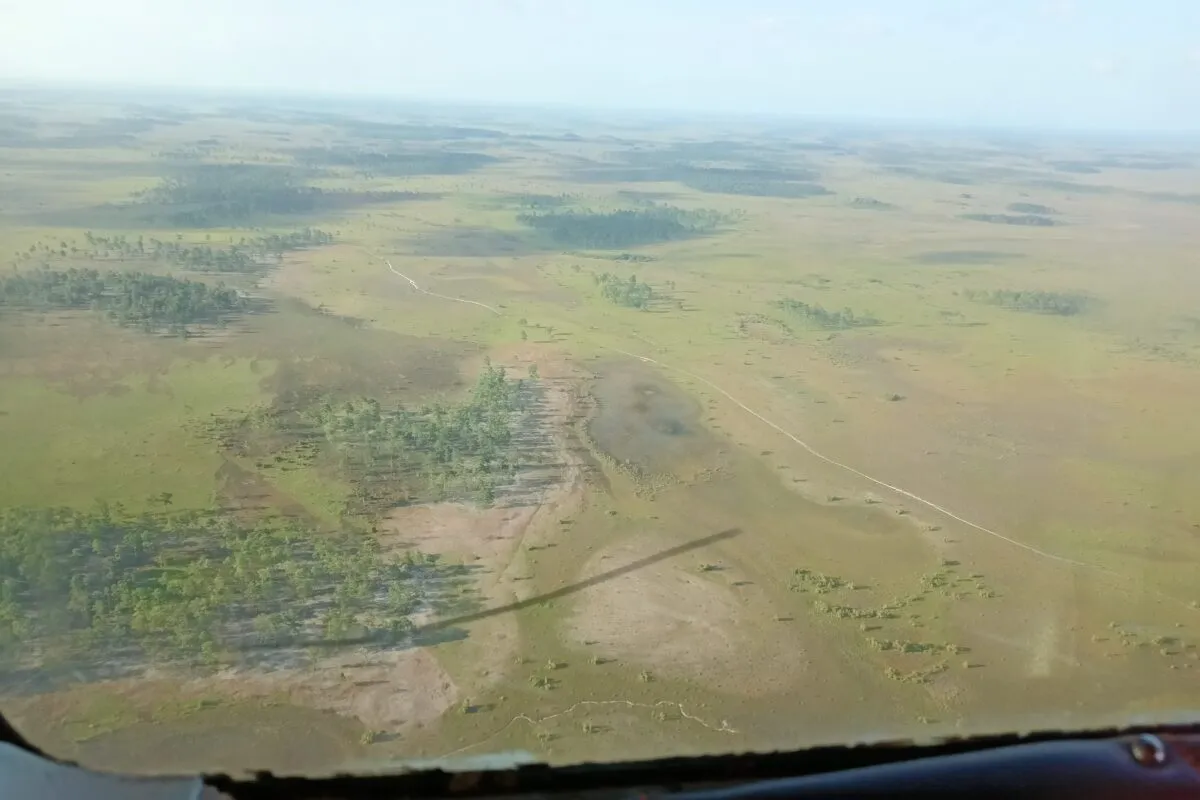 Vista-aerea-de-la-Moskitia-en-Honduras-segundo-bosque-mas-grande-de-Centroamerica.-Honduras-exporta-cafe-aceites-vegetales-textiles-1200x800