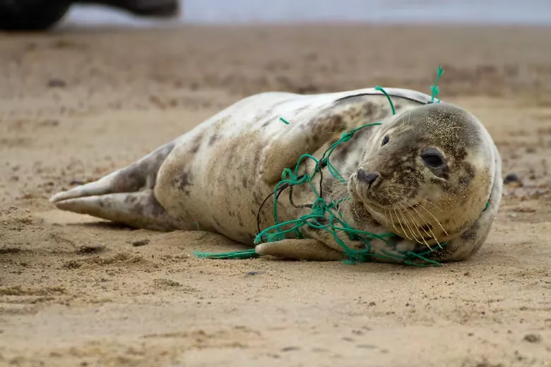 la-sobreacumulacion-de-plastico-en-el-mundo-es-GI4U47CEP5DLVEZNDDYU4D4L2U