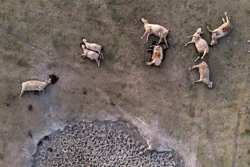 la-sequia-en-el-norte-de-santa-fe-fue-forma-4E6JVVTCPFBMFHHPW6THFGGUBU