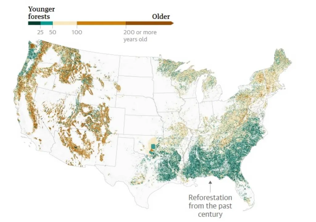 estudo-comprova-que-os-efeitos-do-aquecimento-global-podem-ser-travados-atraves-do-aumento-da-reflorestacao-1708381673453_1024
