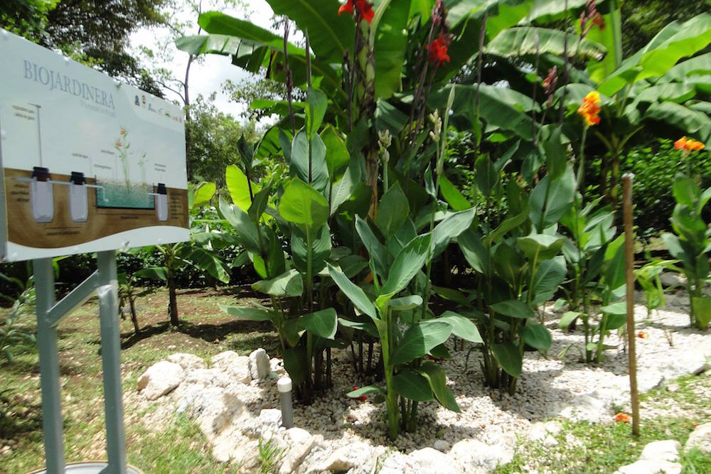 Biojardineras