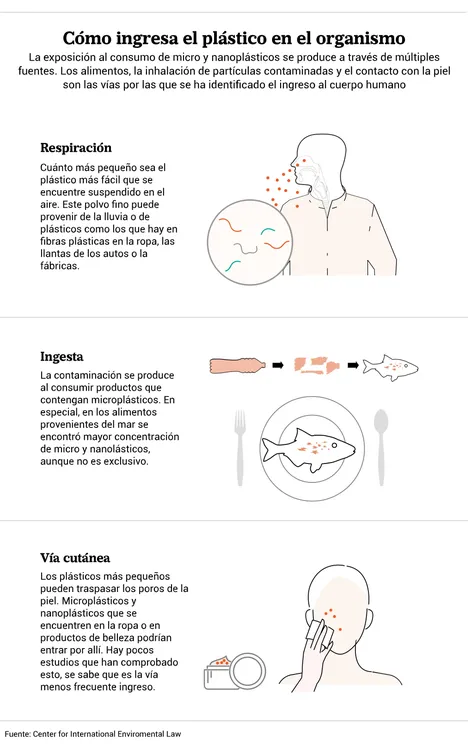 Plastico_copia_Ingreso_98c0221dd0
