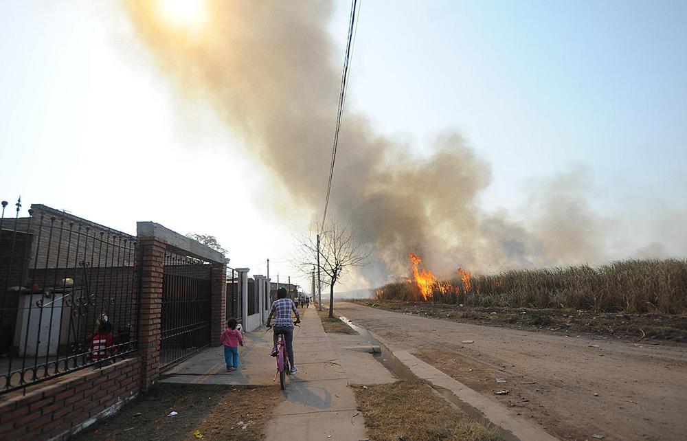 razones-efectos-cambio-climatico-912040-220021