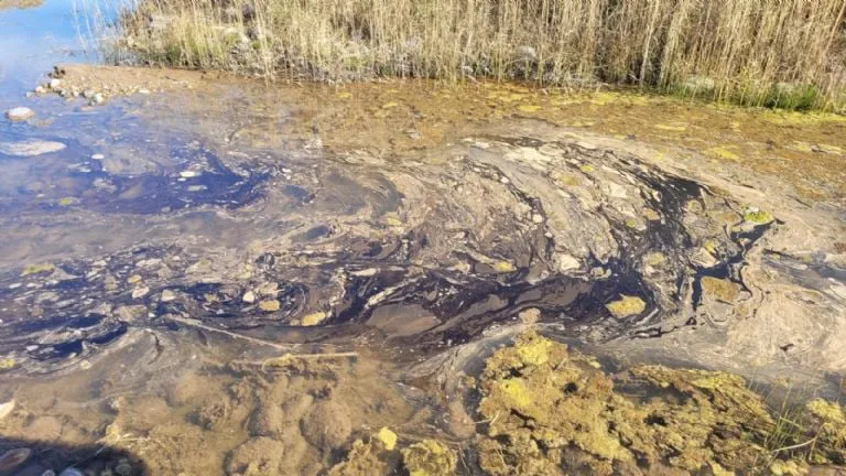 multimedia.normal.a5ae0949cf4ea658.Zjc2OHgxLTE2NDY2ODBfMTY0NjgwN18wX25vcm1hbC53ZWJw