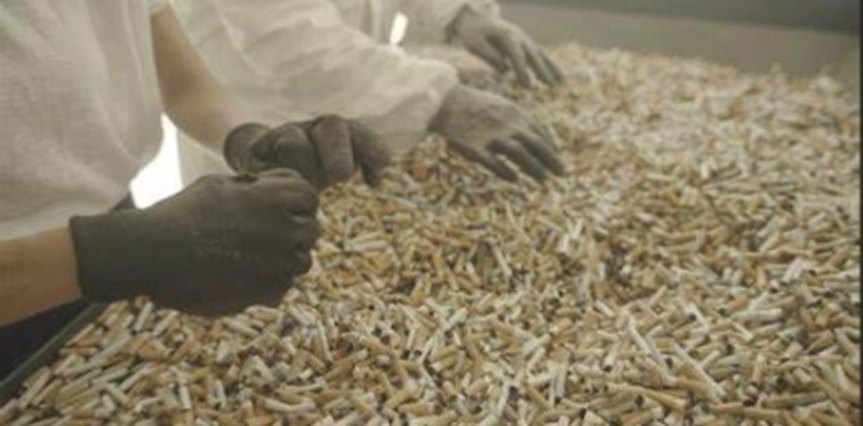 IFrxjmspK_1256x620__1