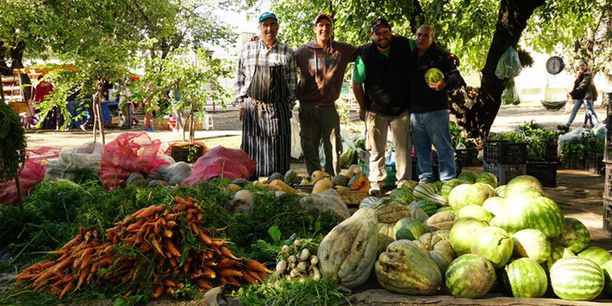 feria-agroecologica
