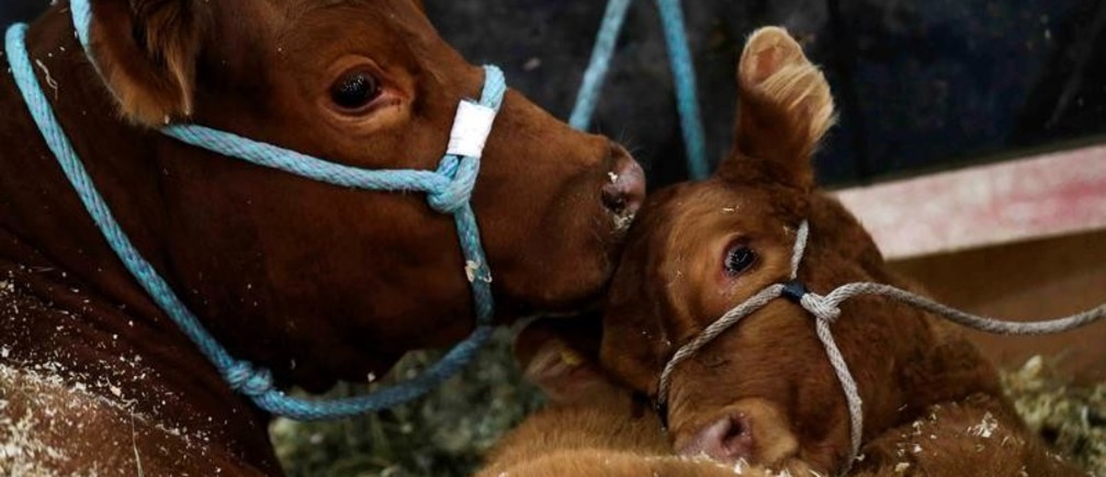 large_HvIkS9Kdw1LVlp9-kkTQsa5vrFbsxazX4um-yLBJgrg