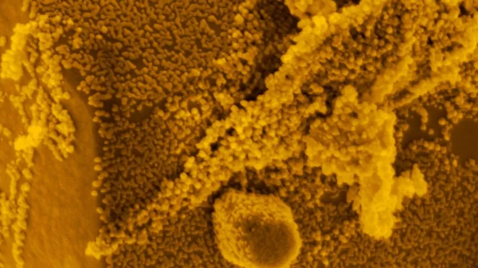 970x545_983012_202303101839560000001