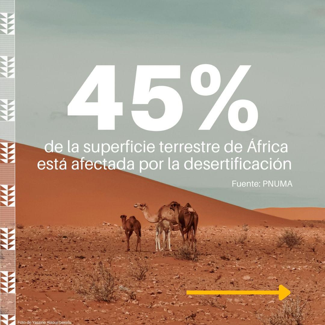 457070190_903786251782602_1794689322643689363_n