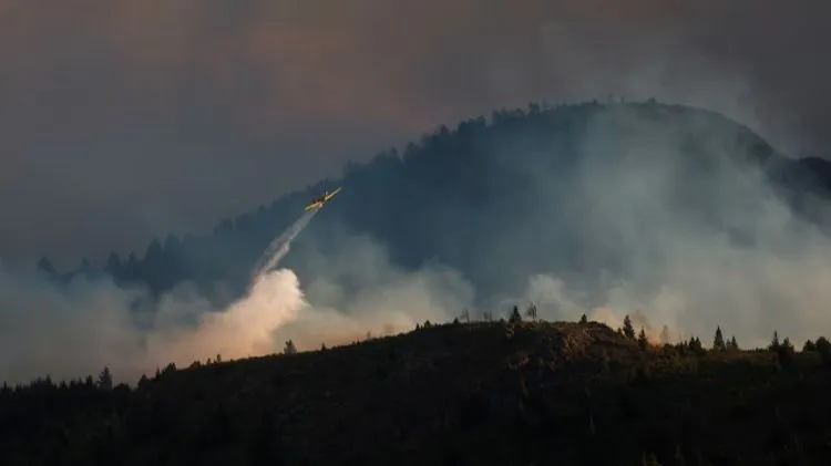 fa6dfbfc-cba3-4fb1-8002-d738bbd653ab-jpeg.