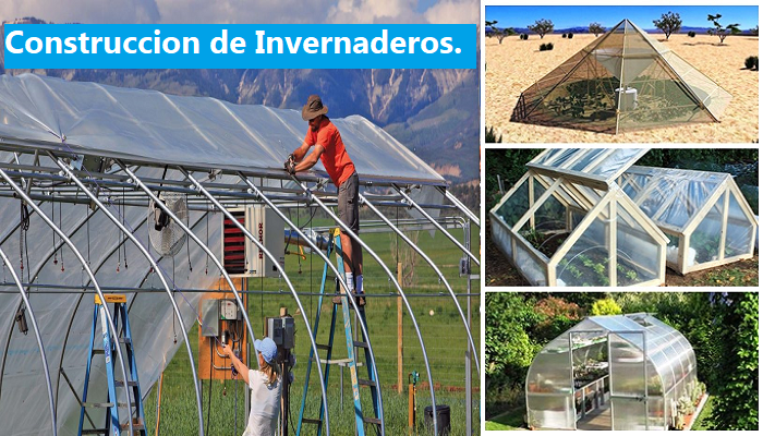 construcion-de-invernaderos-paso-a-paso.