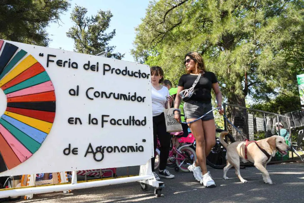 crisis_climatica-cuasas_soluciones-salida-10-1024x683