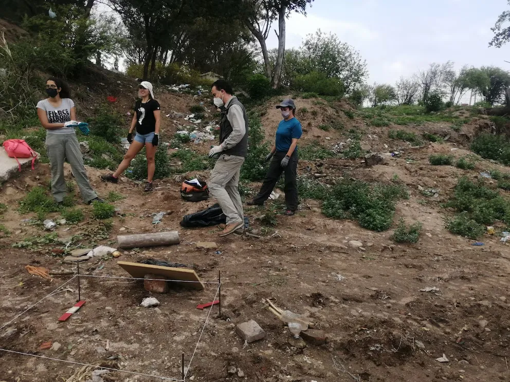 PFGE2GJE6VG65GUPII6OAWO4CI