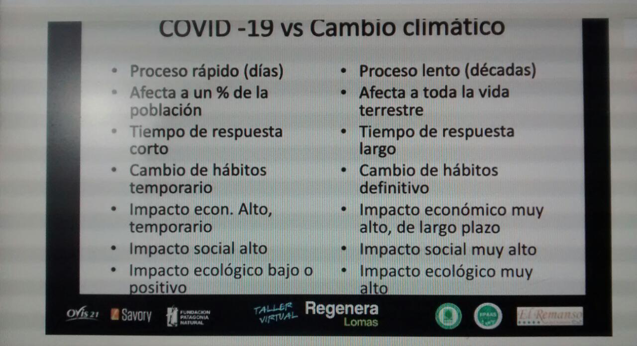 WhatsApp Image 2020-05-01 at 23.18.17