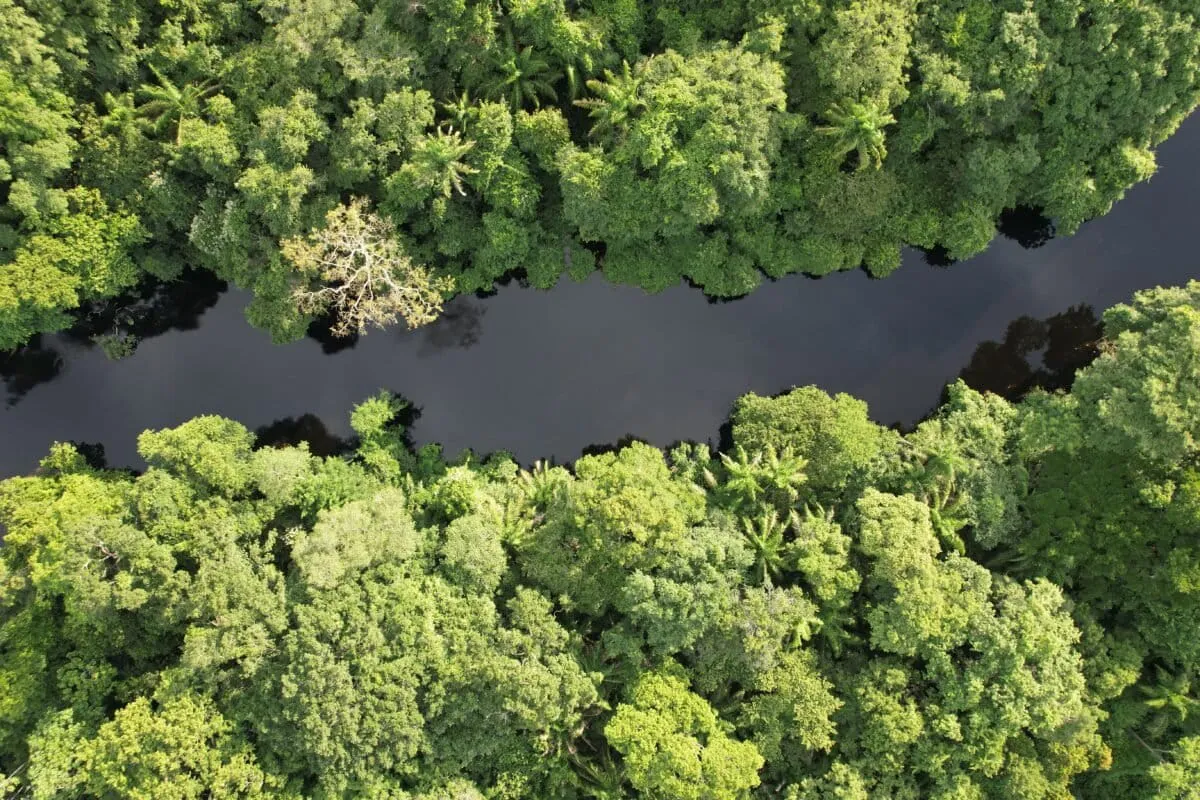 Copia-de-Rio-Apere-1-1200x800