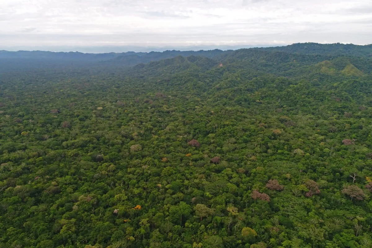 Eva-Eva-1-copia-1200x800