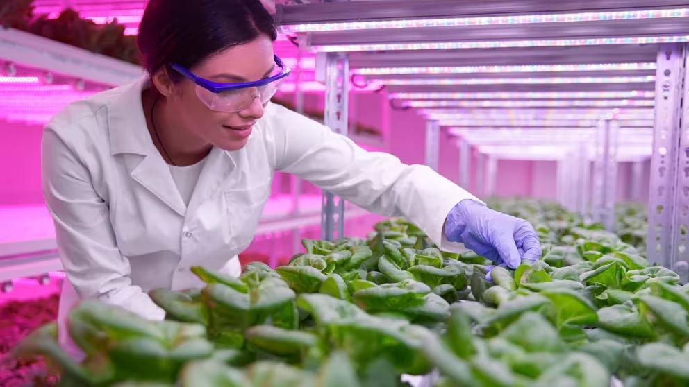 ZUN3FMTBCFGOZPZBG4HM7O3BZQ