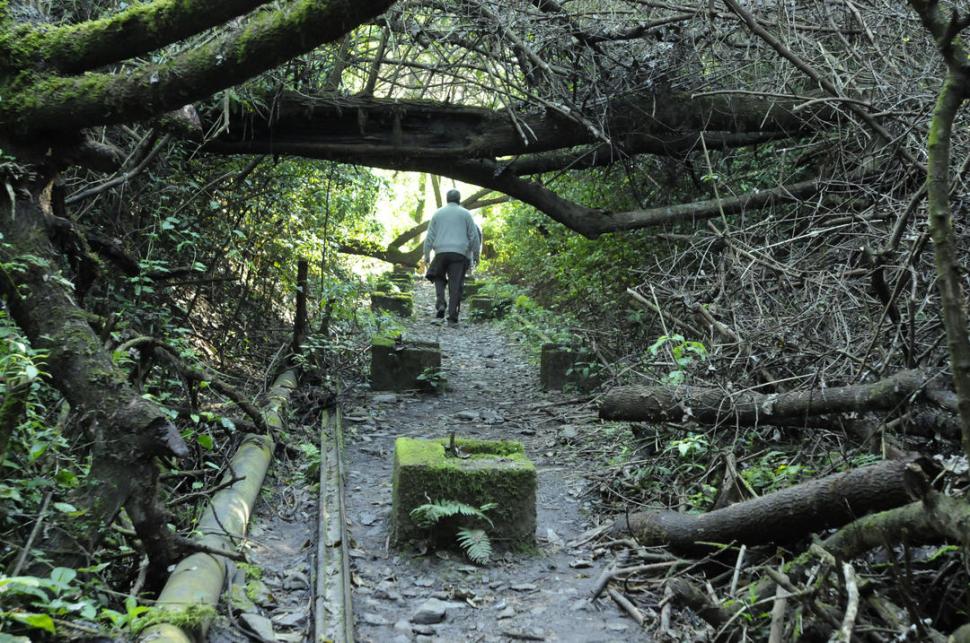 823797_201911022043100000001