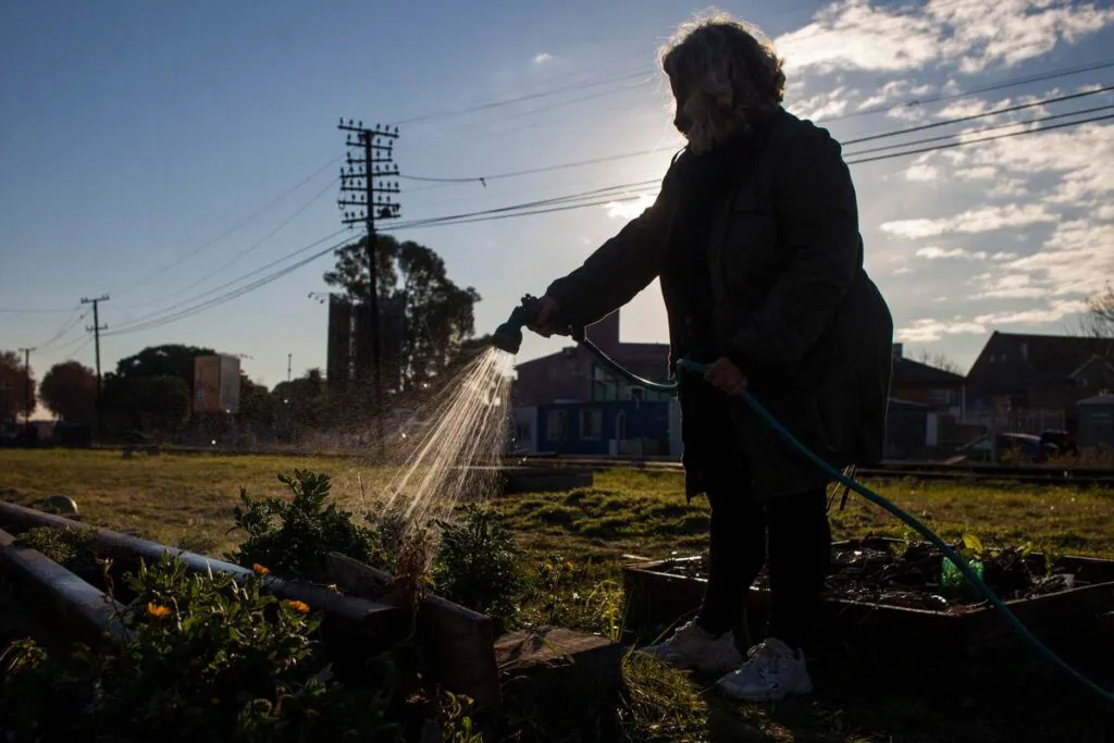crisis_climatica-cuasas_soluciones-salida-11-1024x683