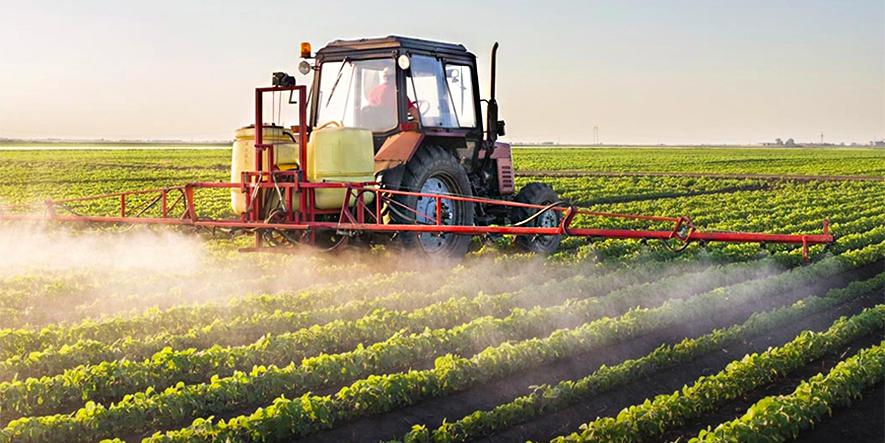 clopirifos-prohibido