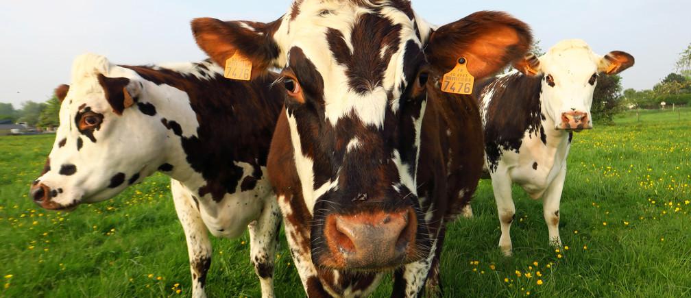 large_VMXlbA5yzdktFPZjpmoq7lBHCjU0DeXArN0hKUmhVug