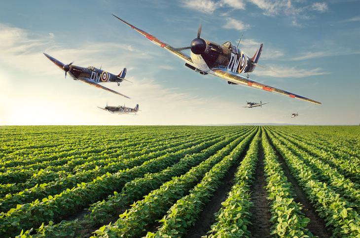 bloggif_5e5c06a1d050a