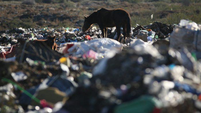 Basura