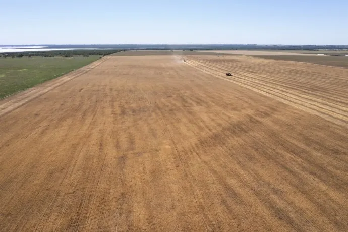 campo-retenciones-granos-agro