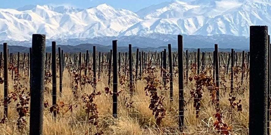 mendoza-postes-plastico-reciclado