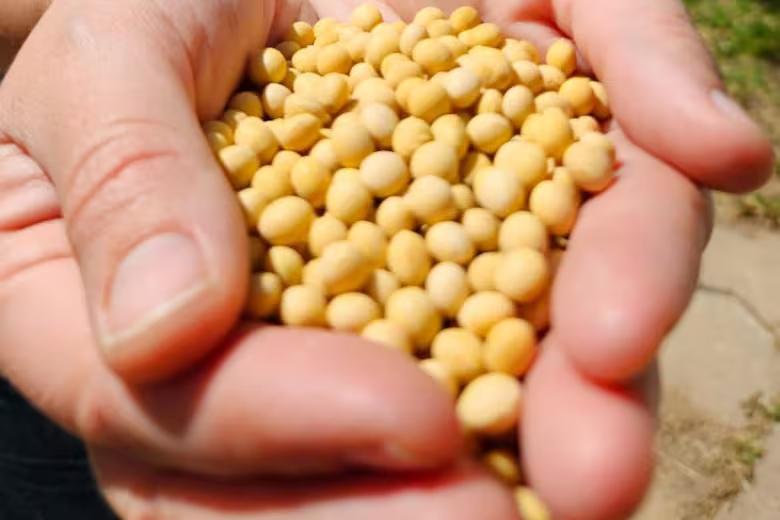 el-mercado-europeo-elevo-sus-exigencias-para-la-PPU6FGDDZBFCROYWW5FFWAAXHI