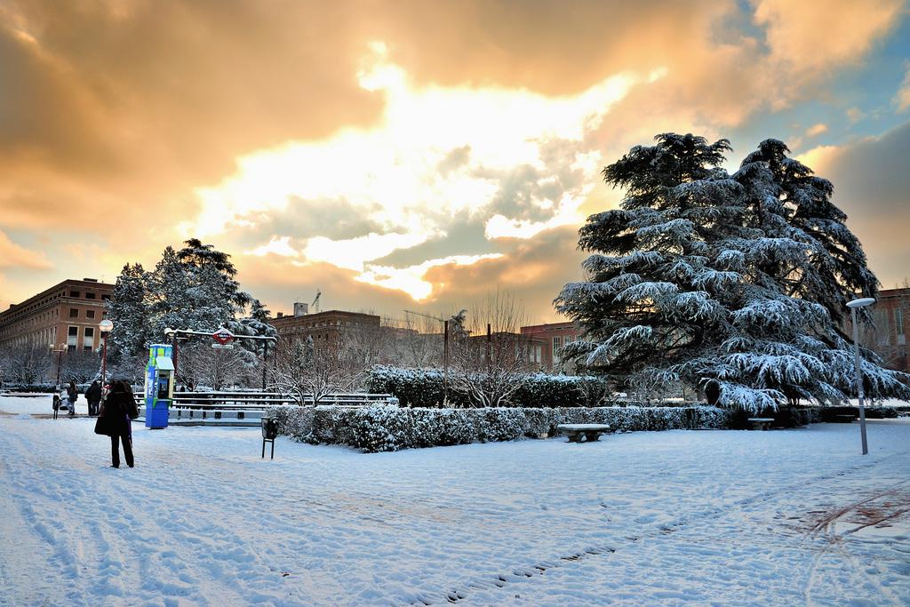 nieve-ciudad-universitaria
